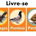 Desentupidora Rio Tavares Central Florianopolis